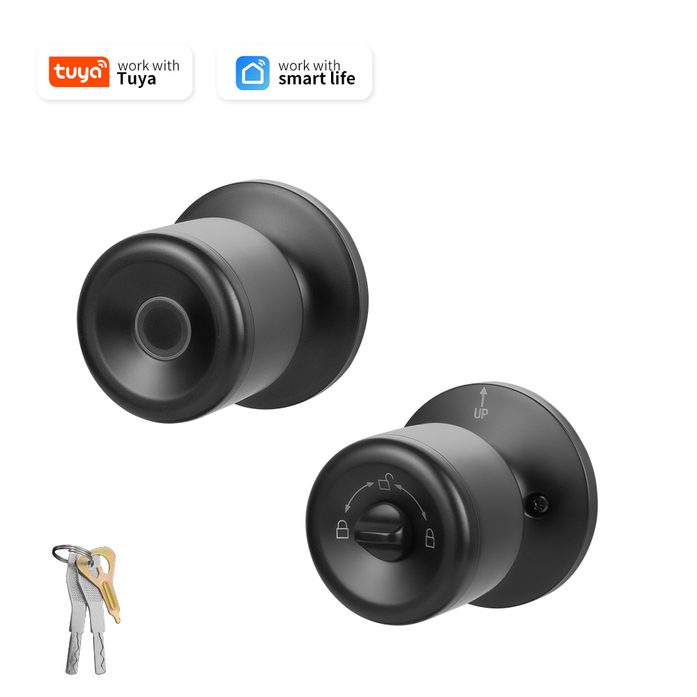 Tuya Smart Door Lock Fingerpri - Home Security For Apartments ulasan dan harga