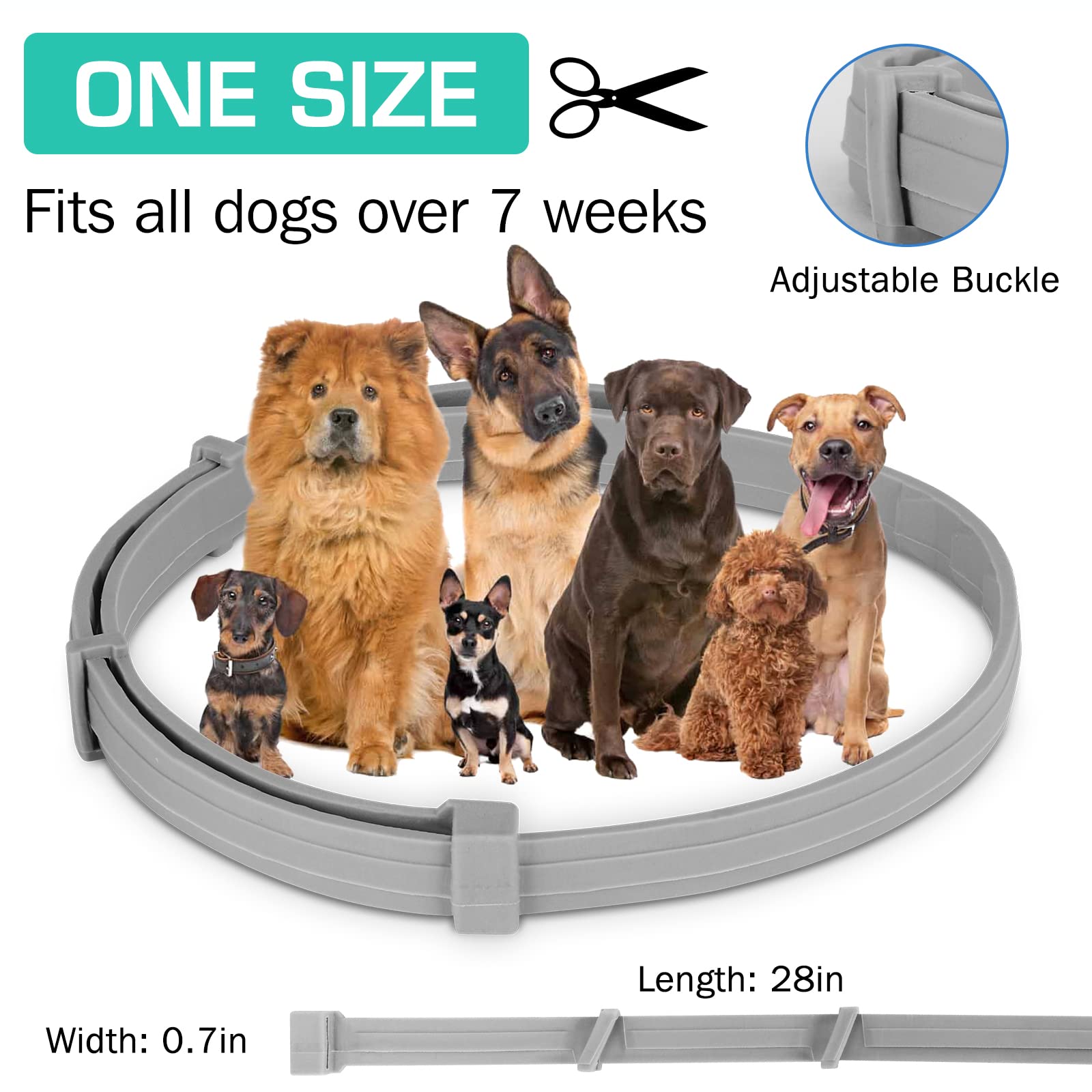 38/70CM Pet Anti Flea Ticks An - Pet Immune Pir Sensor ulasan dan harga