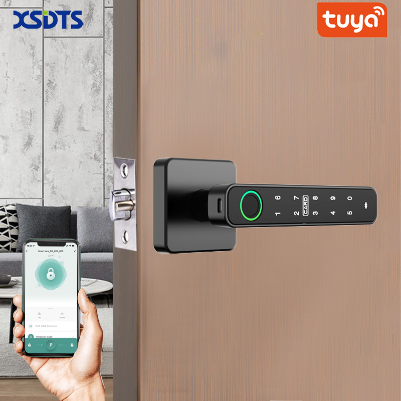 XSDTS Tuya Handle Fingerprint  - Home Security For Apartments ulasan dan harga