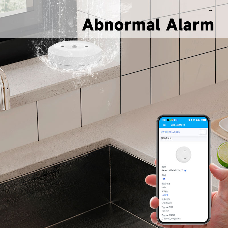 Smart ZigBee3.0 2MQTT Water Le - Home Security Home Assistant ulasan dan harga