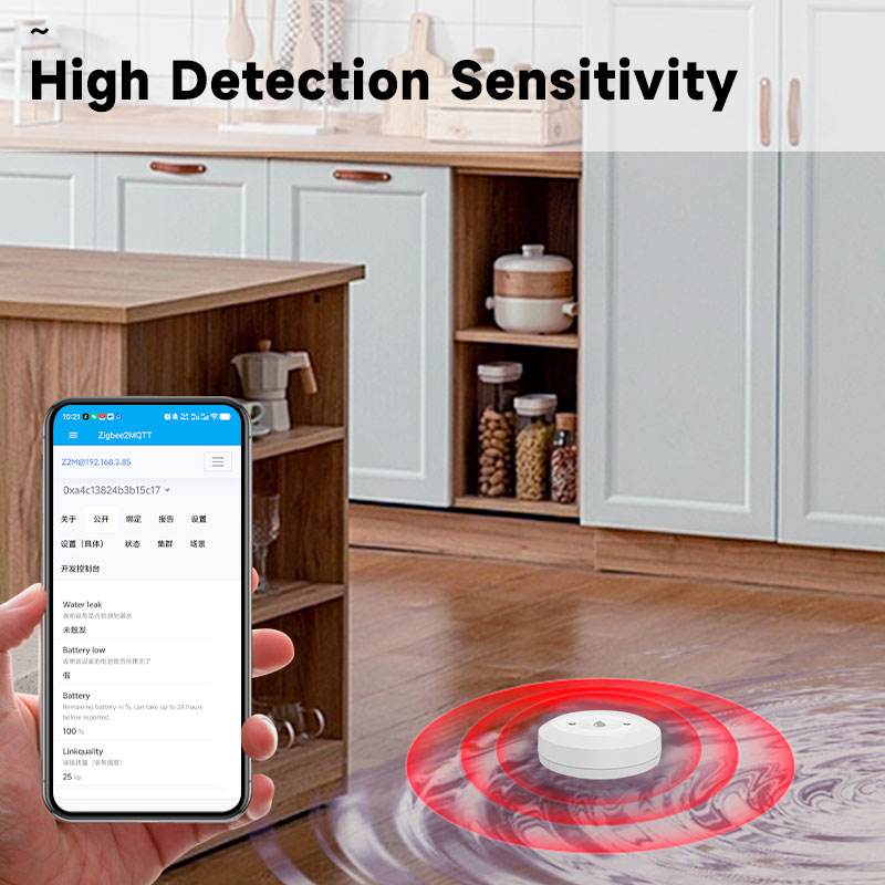 Smart ZigBee3.0 2MQTT Water Le - Home Security Home Assistant ulasan dan harga