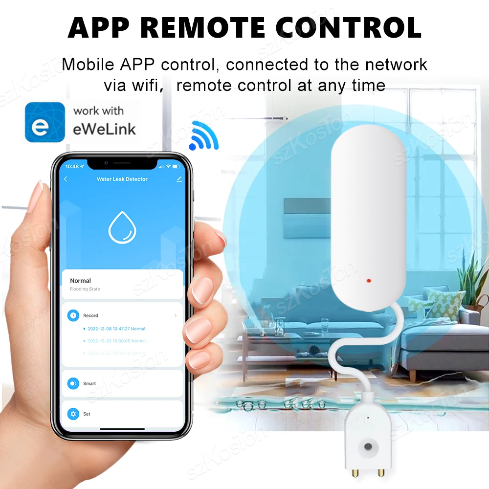 eWeLink APP Water Leak Detecto - Home Security Home Assistant ulasan dan harga