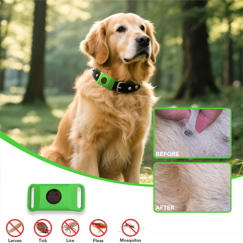 Natural Anti-Flea & Tick Penda - Pet Immune Pir Sensor ulasan dan harga
