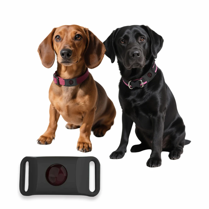 Natural Anti-Flea & Tick Penda - Pet Immune Pir Sensor ulasan dan harga