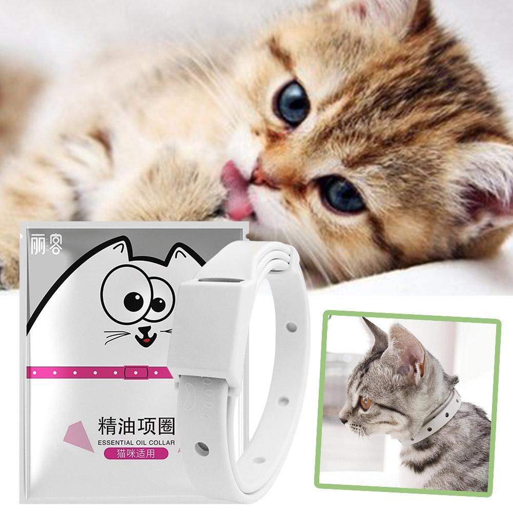 Retractable Pet Products Flea  - Pet Immune Pir Sensor ulasan dan harga