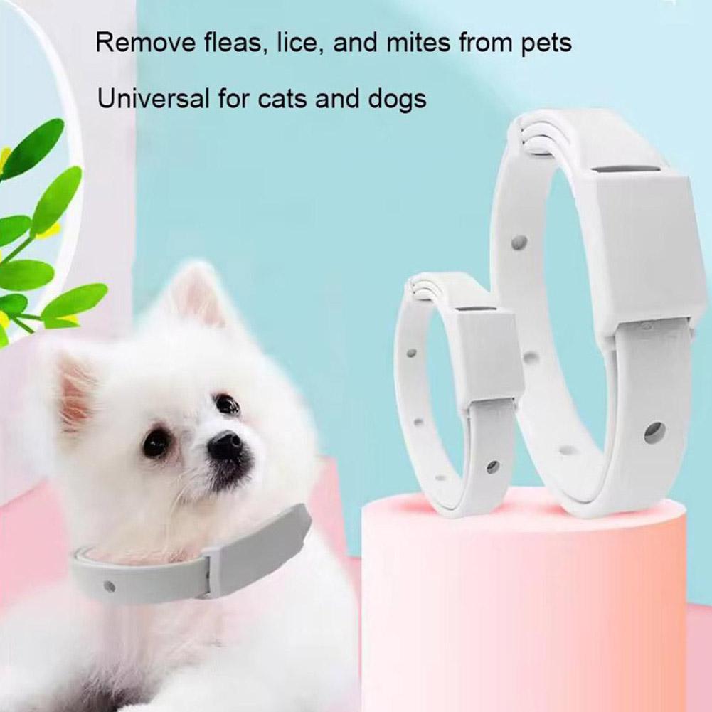 Retractable Pet Products Flea  - Pet Immune Pir Sensor ulasan dan harga