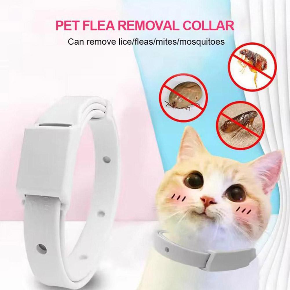 Retractable Pet Products Flea  - Pet Immune Pir Sensor ulasan dan harga