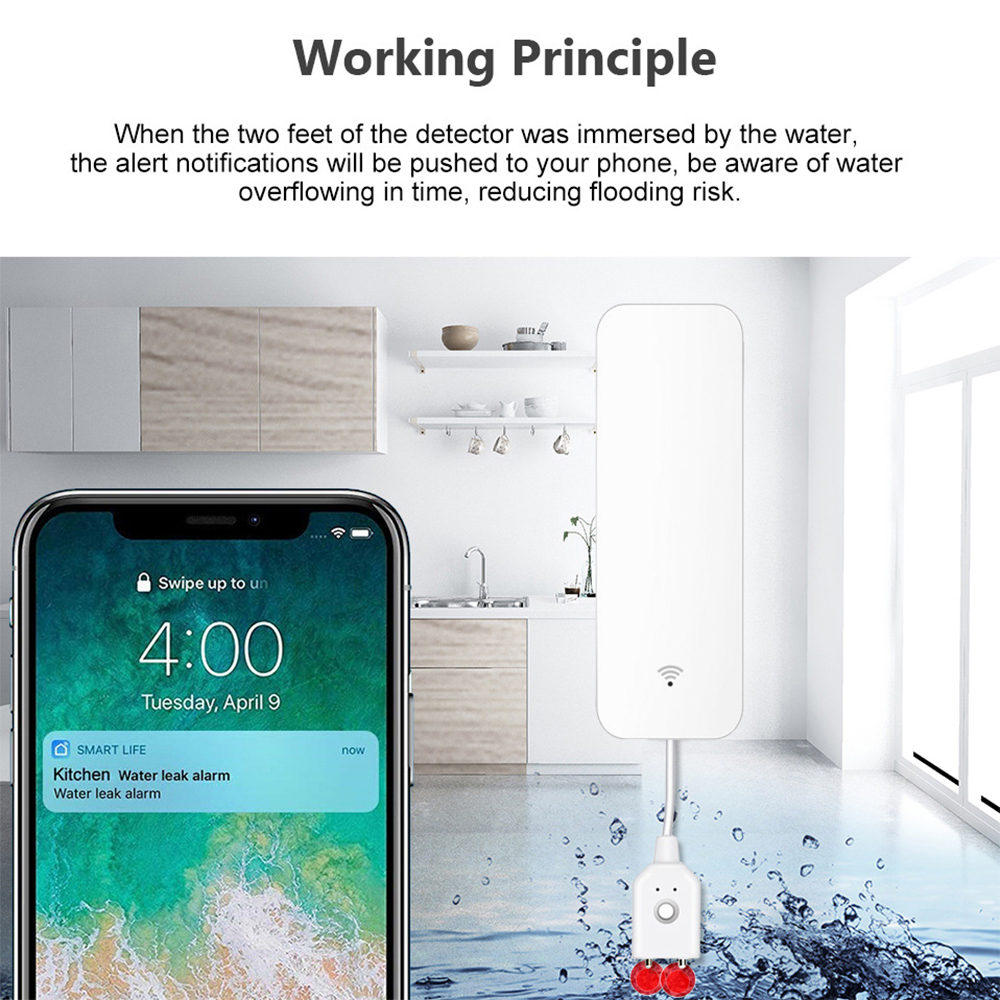 Tuya WiFi Smart Water Sensor L - Home Security Home Assistant ulasan dan harga