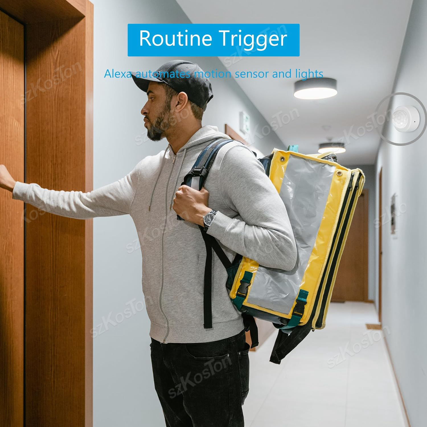 eWelink APP Zigbee Motion Sens - Home Security Home Assistant ulasan dan harga