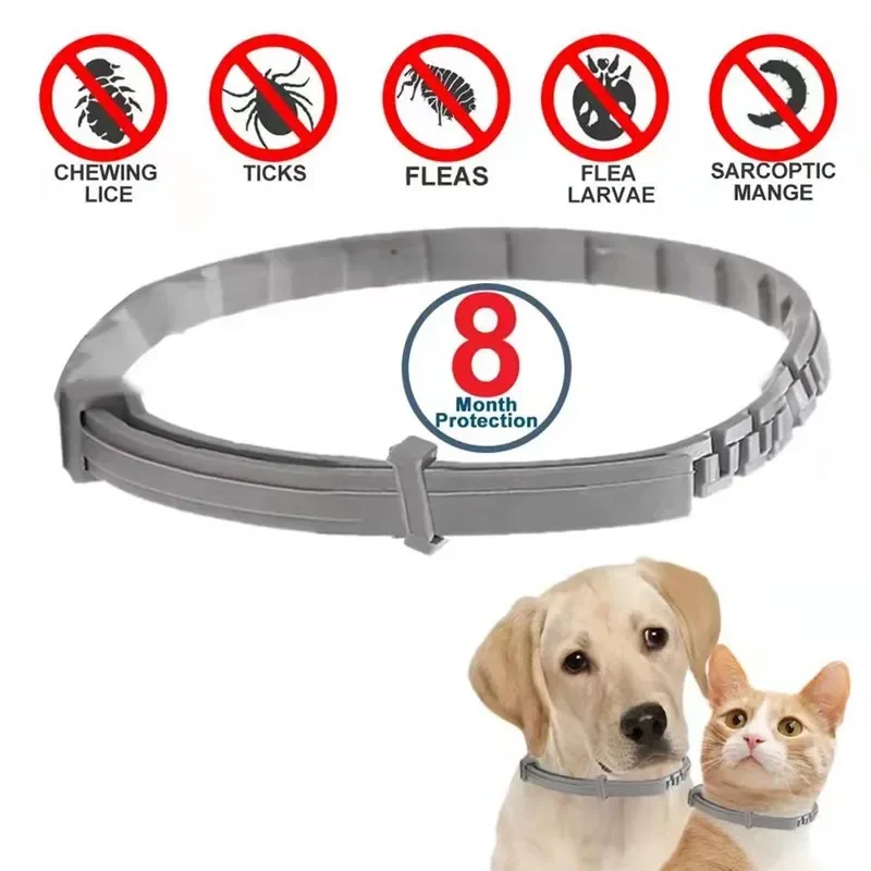 Dog Anti Flea And Tick Cat Col - Pet Immune Pir Sensor ulasan dan harga
