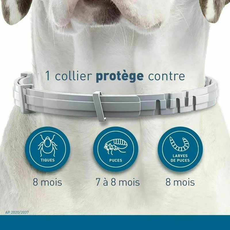 Dog Anti Flea And Tick Cat Col - Pet Immune Pir Sensor ulasan dan harga