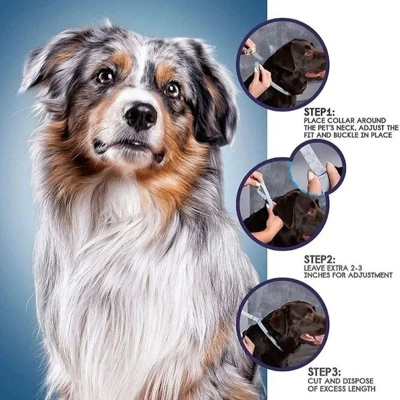 Dog Anti Flea And Tick Cat Col - Pet Immune Pir Sensor ulasan dan harga