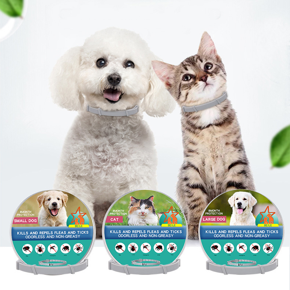 Flea Collar 8 Months Protectio - Pet Immune Pir Sensor ulasan dan harga